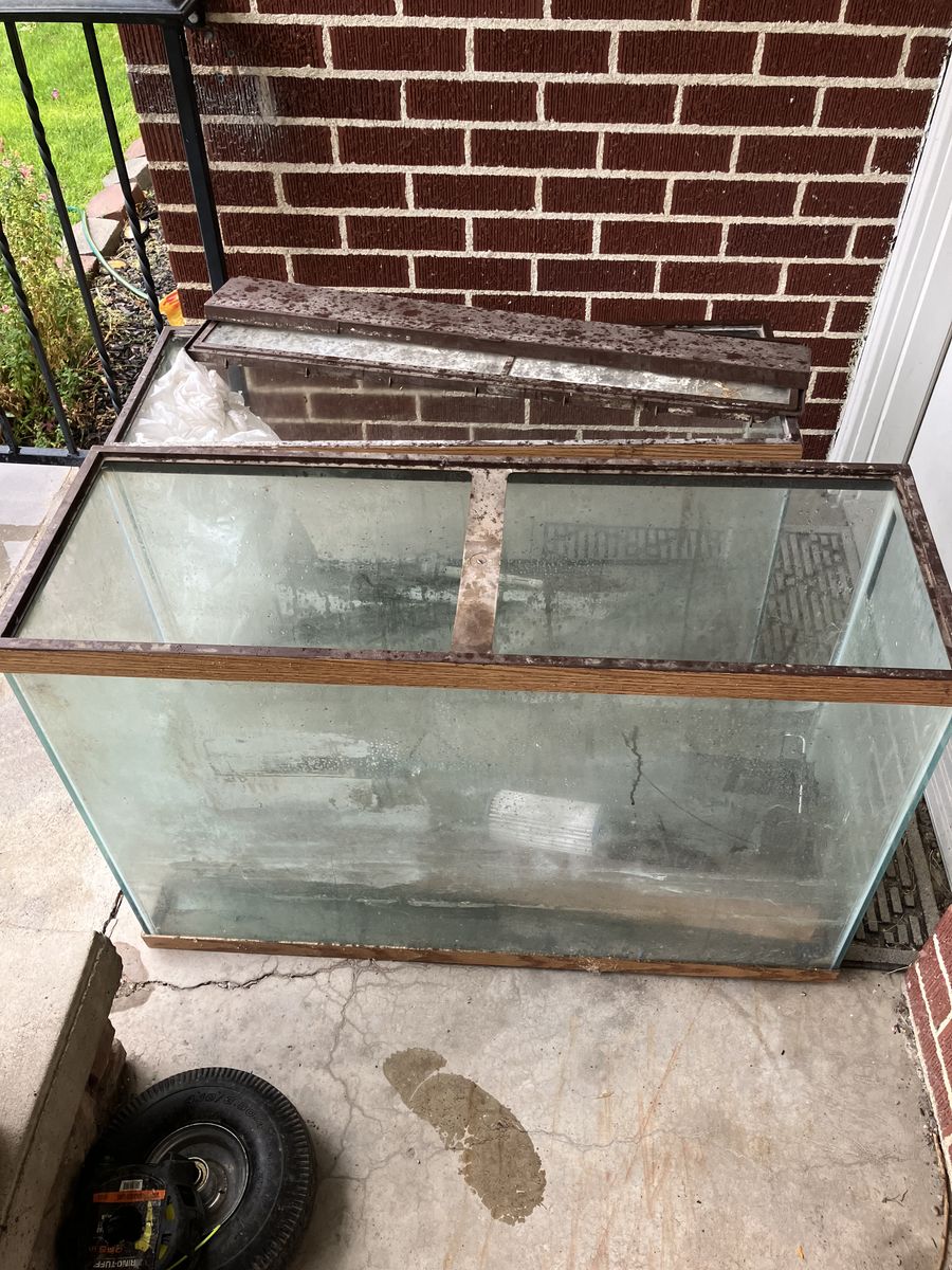 Fish tanks