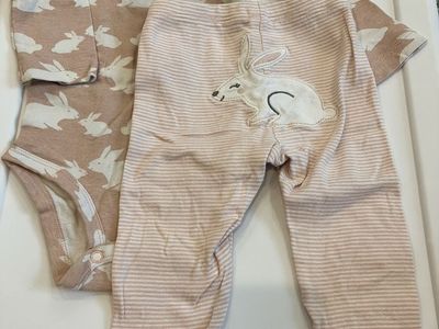 Baby girl outfit (9 months)