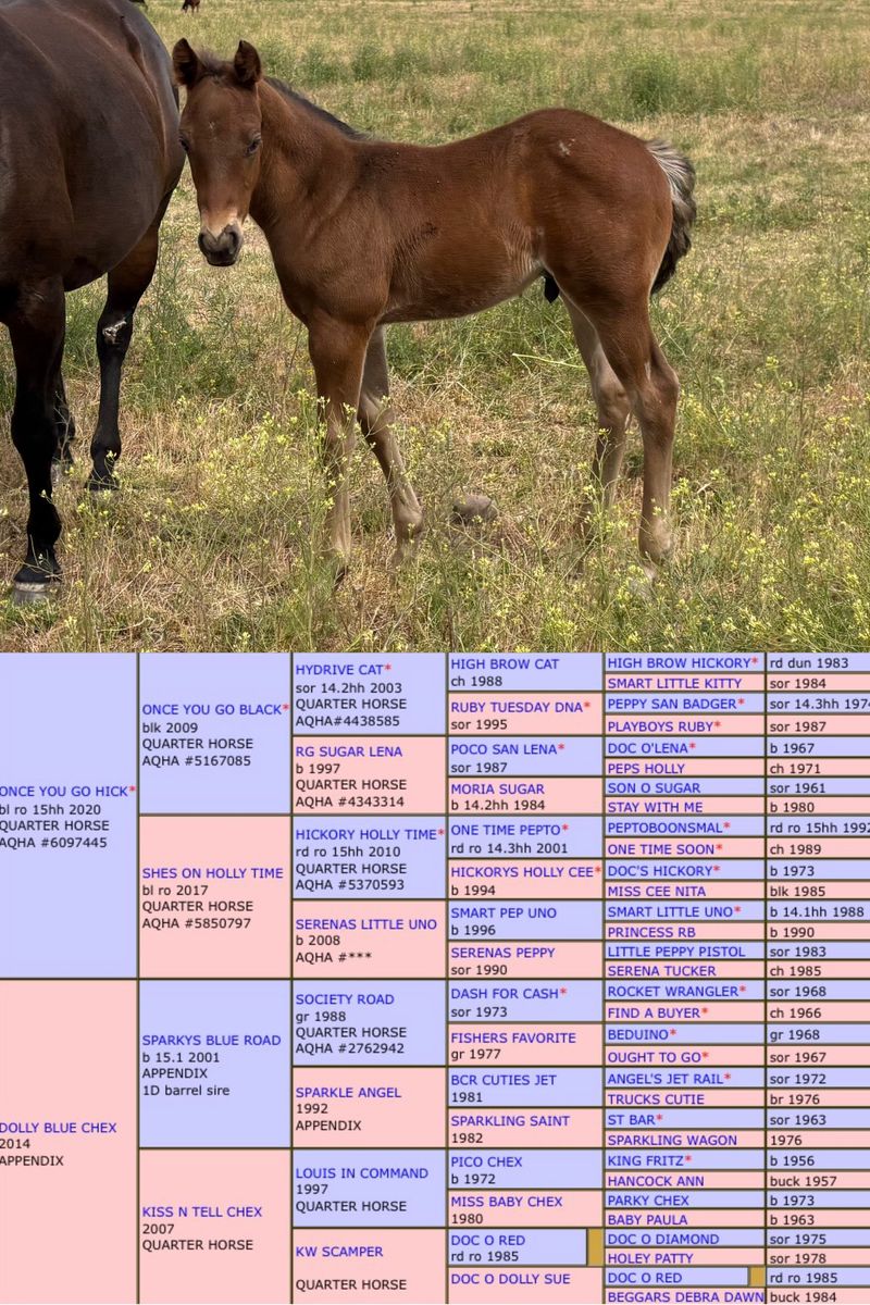 Main image 6