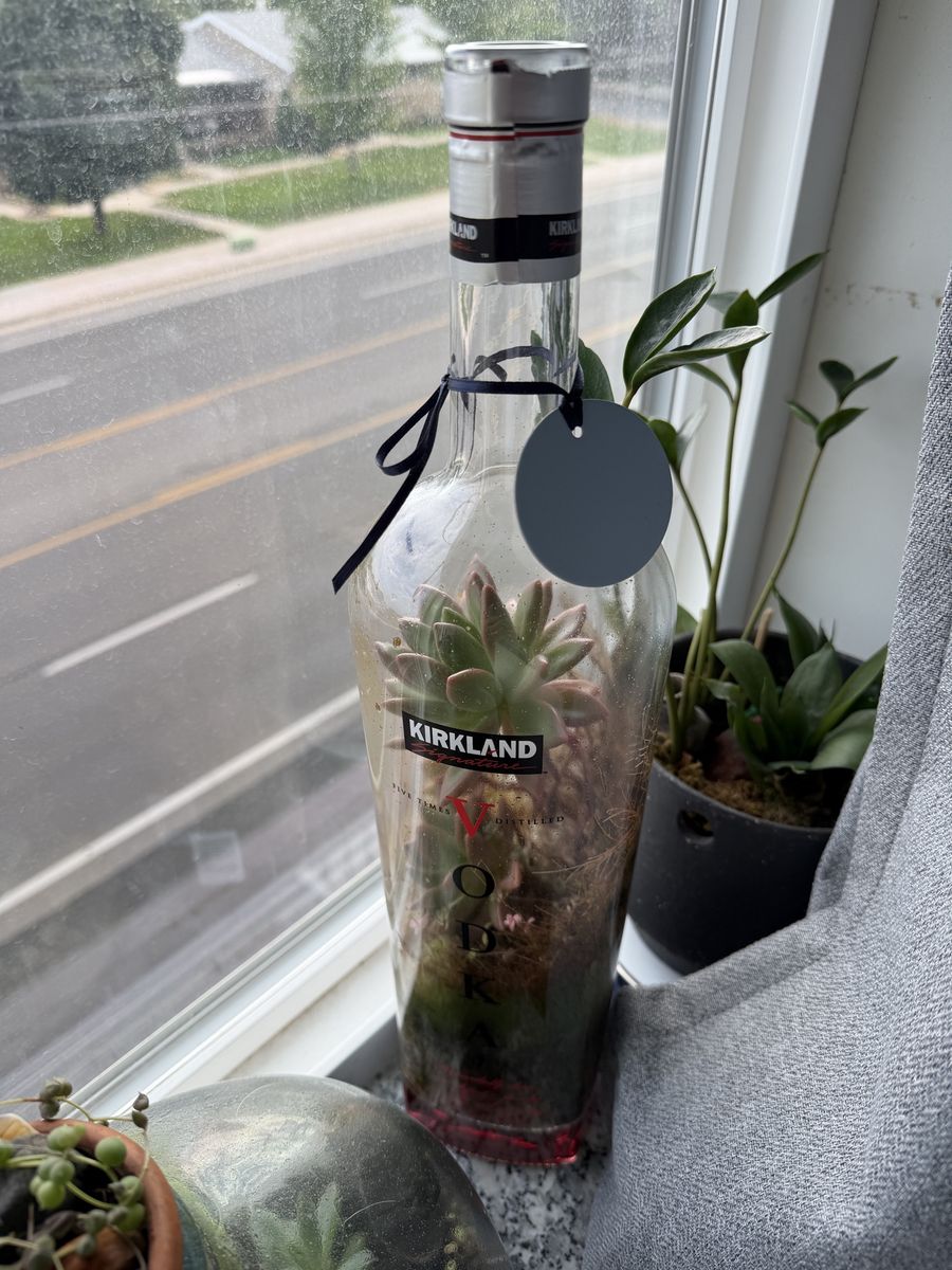 Handmade Kirkland Vodka Bottle Succulent Terrarium - Unique Plant Decor
