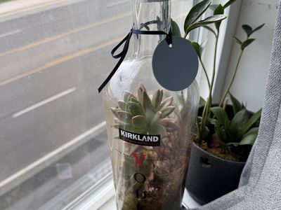 Handmade Kirkland Vodka Bottle Succulent Terrarium - Unique Plant Decor