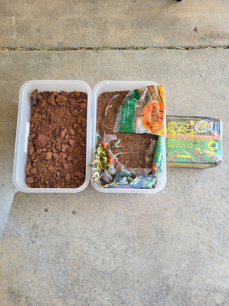 eco earth, lizard bedding