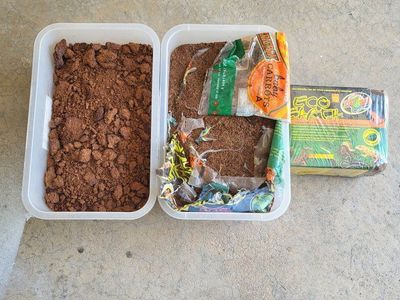 eco earth, lizard bedding