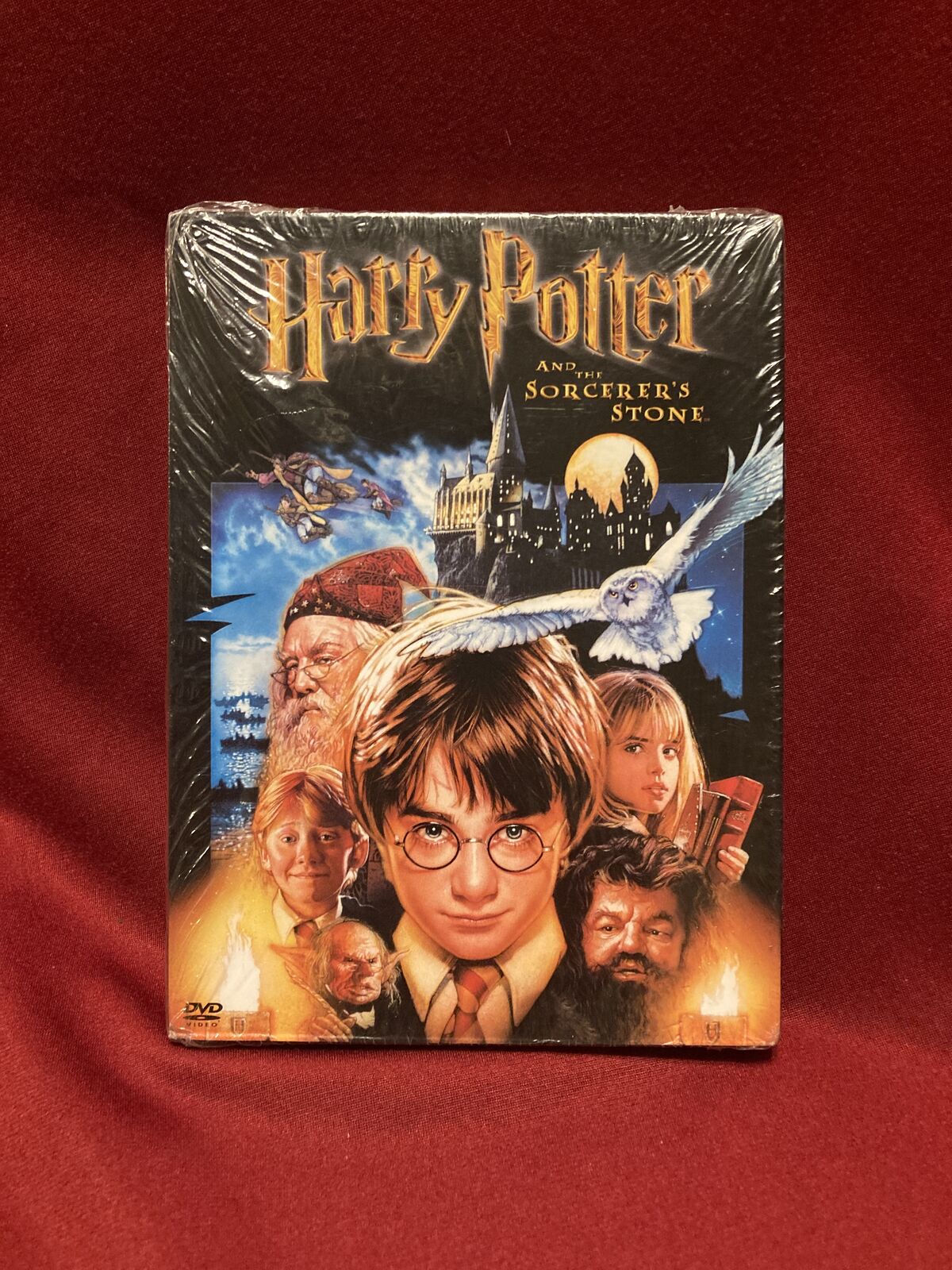 Harry Potter & The Sorcerers Stone DVD Two Disc Set New
