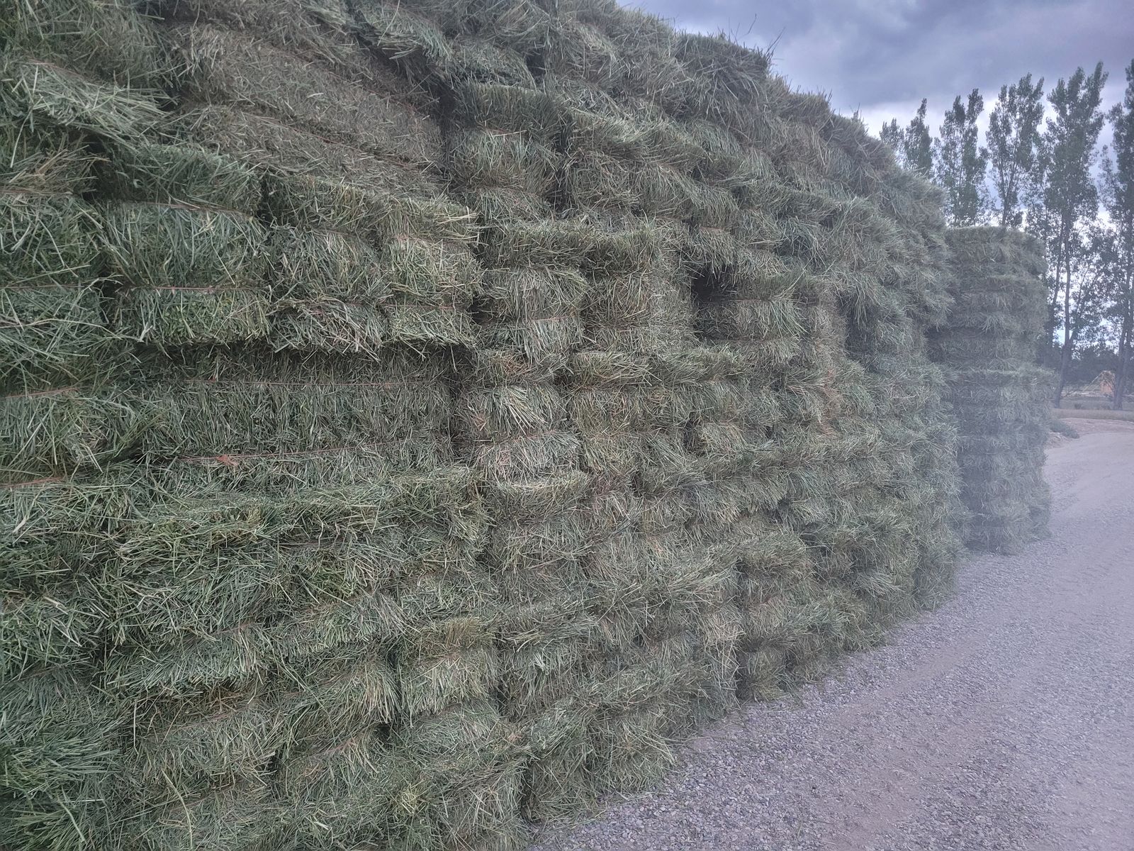 2nd crop small bales alfalf and grass