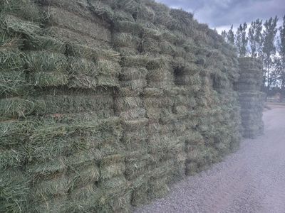 2nd crop small bales alfalf and grass