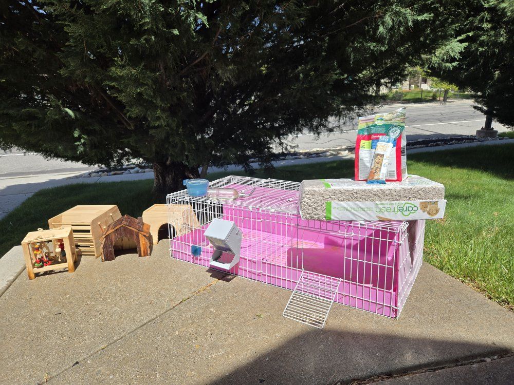 Guinea pigs Cage and accessories