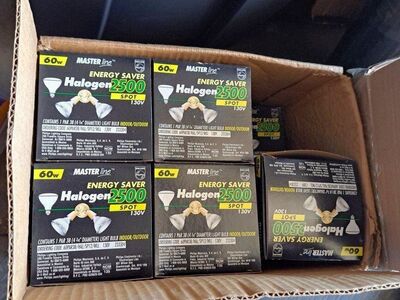 Box of Halogen light bulbs 60 w