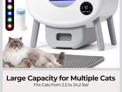 automatic cat litter box