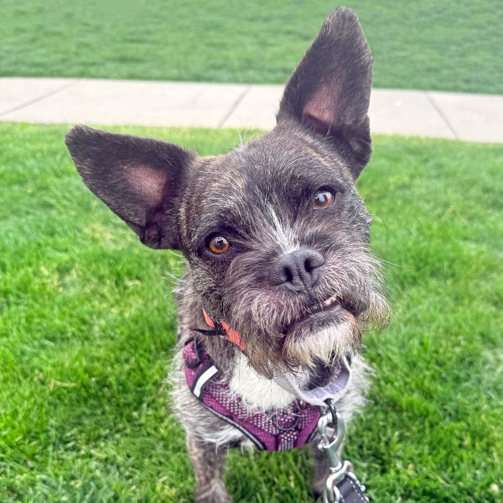 Hello my name is Oscar