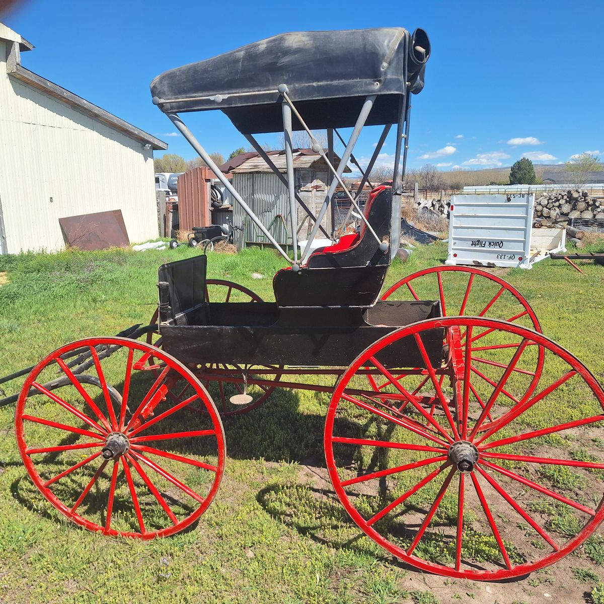 100 year old doctors buggy ready to drive