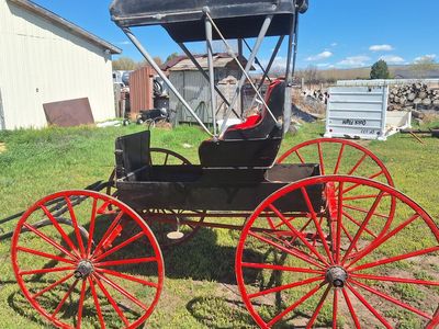 100 year old doctors buggy ready to drive