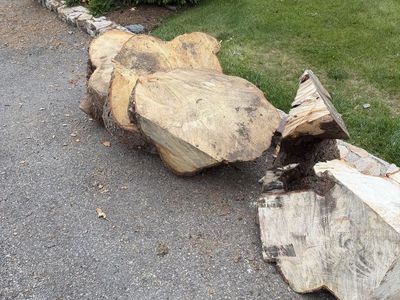 Fire wood/ pine