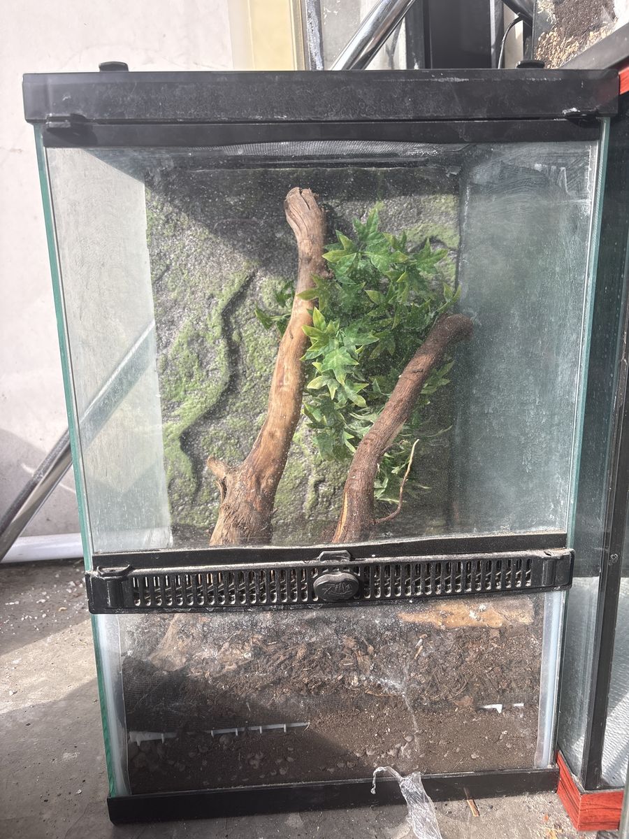 Terrarium 5 gallon long