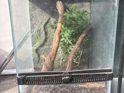 Terrarium 5 gallon long