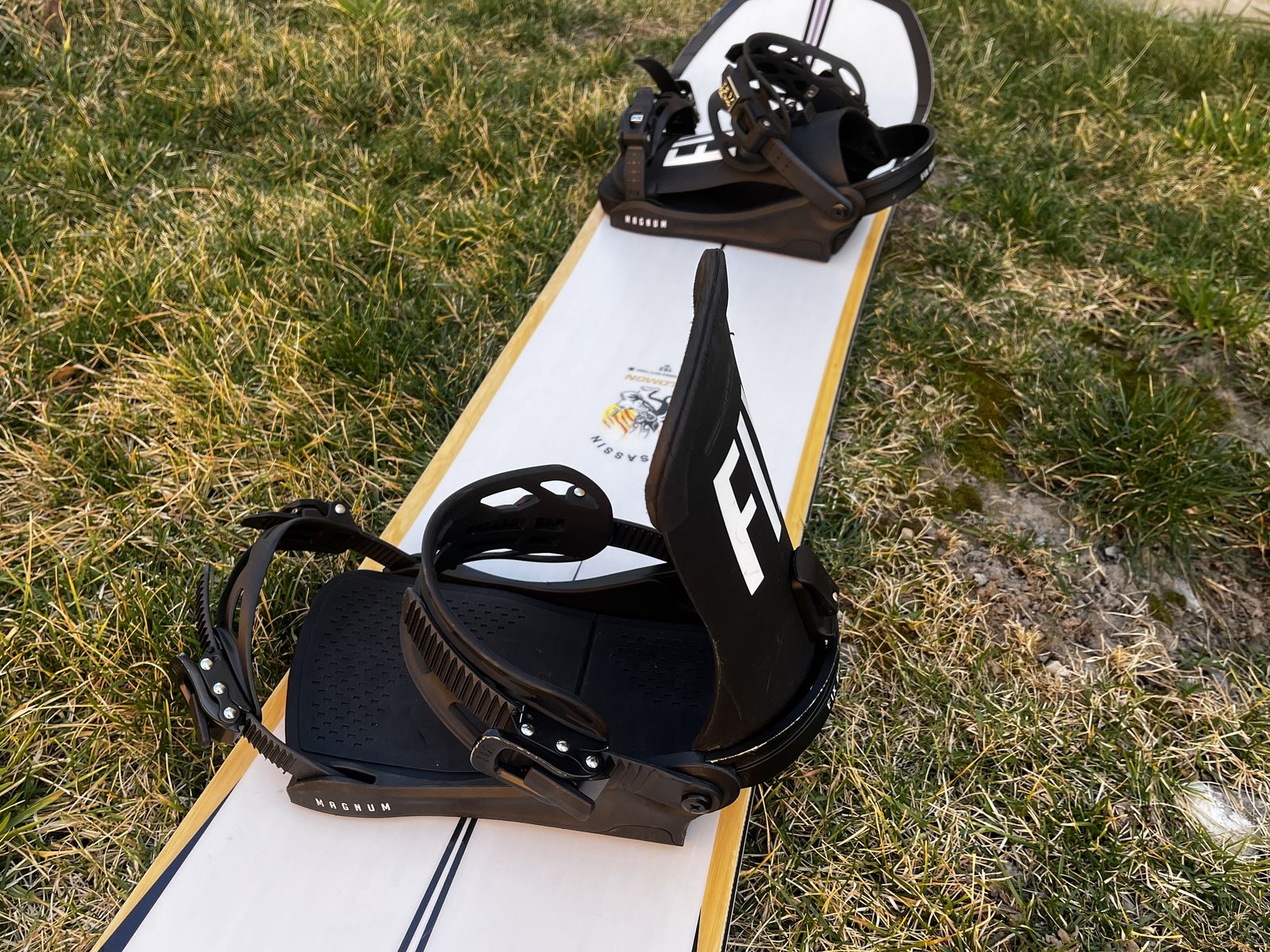 Salmon Assassin Snowboard 163W