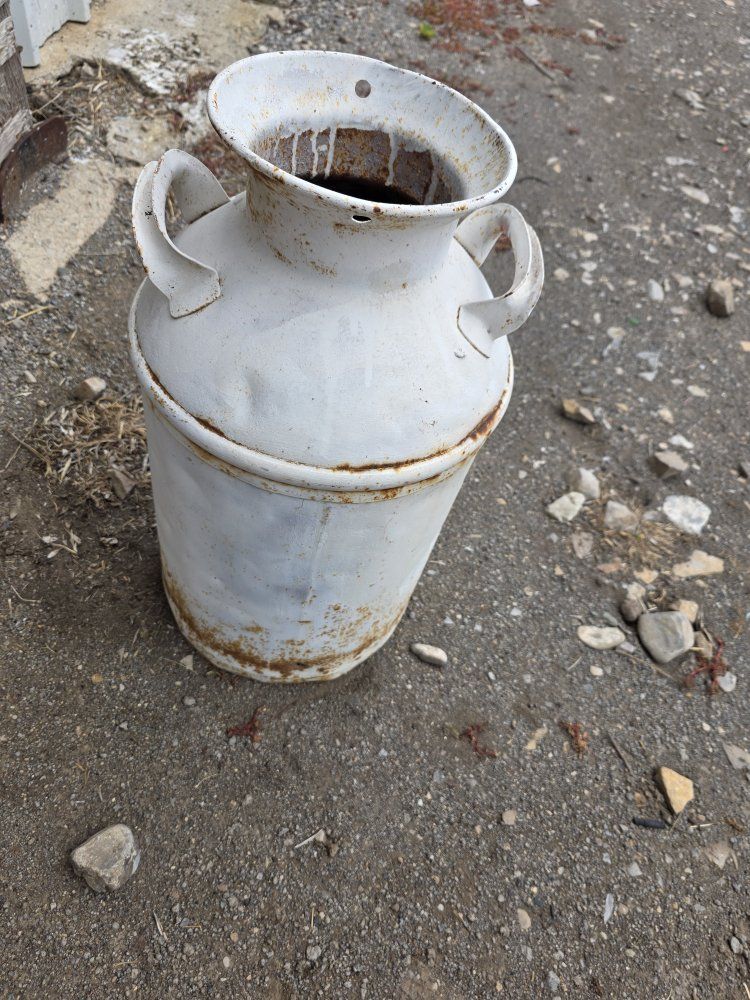 Main image 5