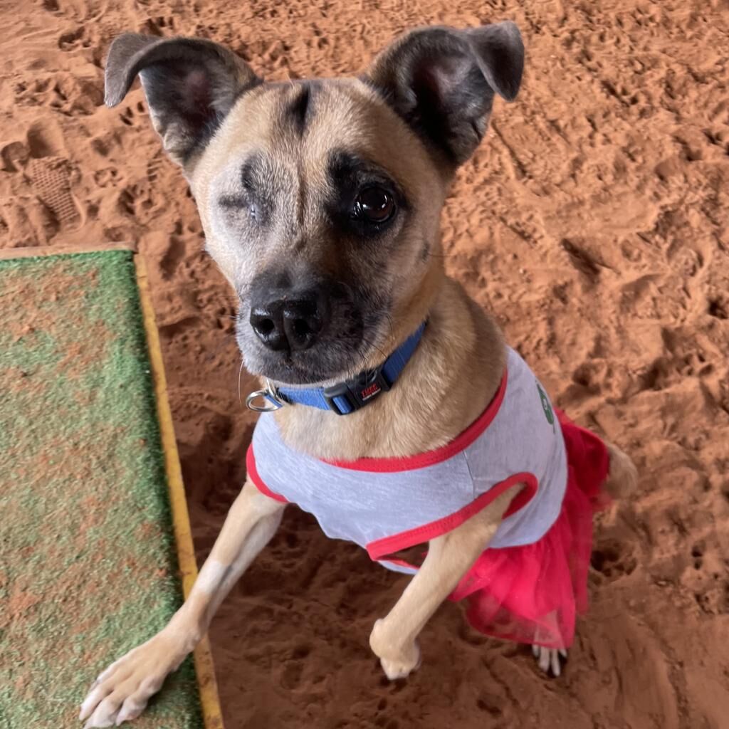 Hello my name is LuLu