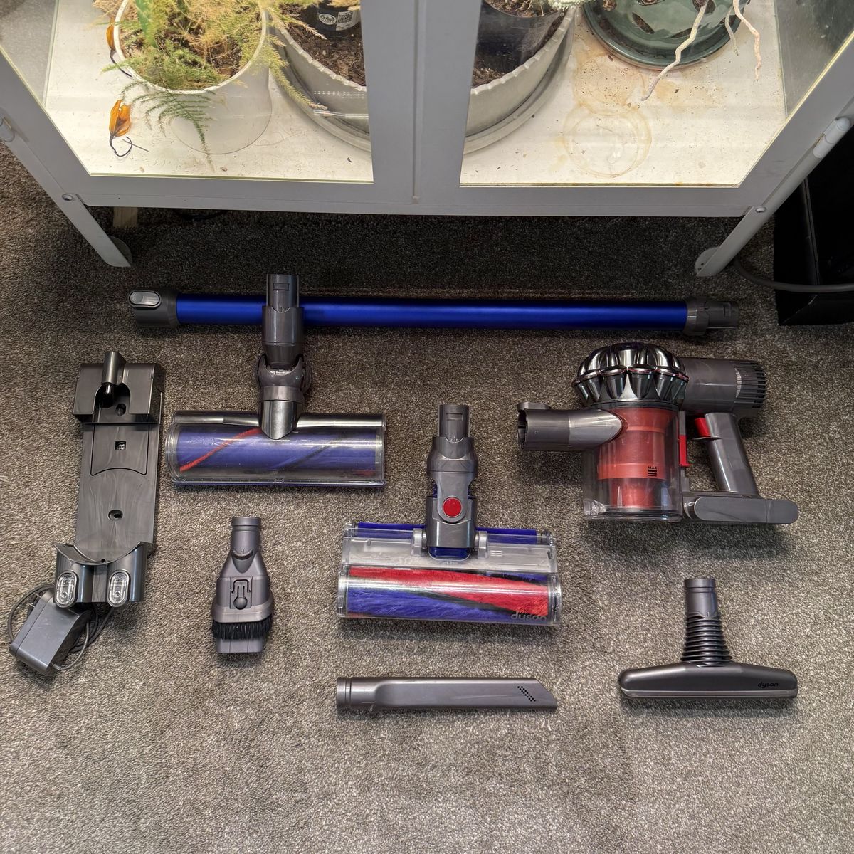CLEAN Dyson v6 absolute vacuum