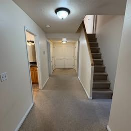 Main image 9