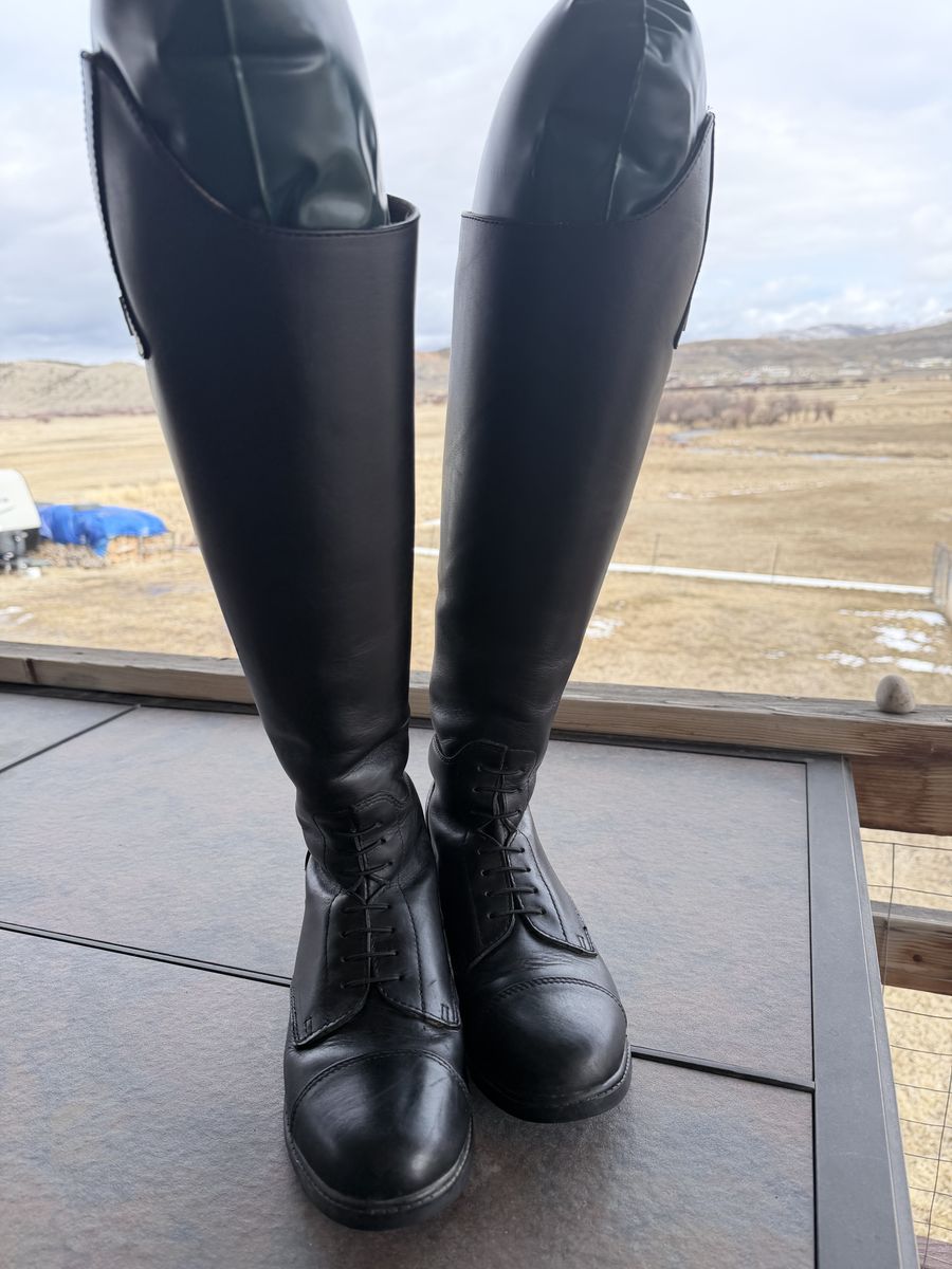 English Riding Boots