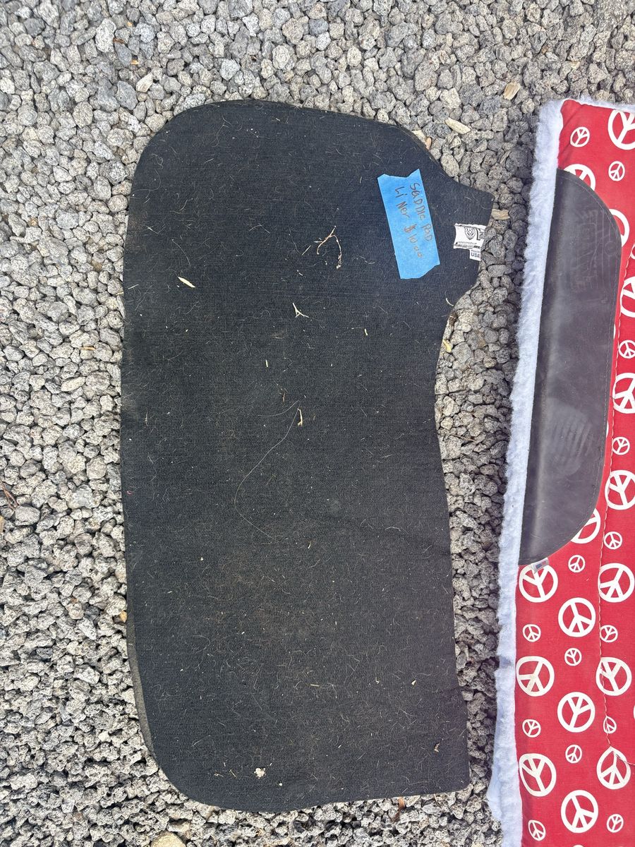 Main image 10