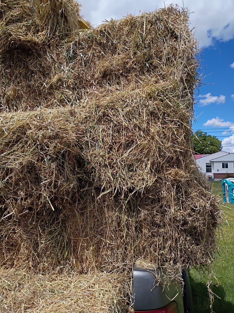 1st crop hay- alfalfa, grass, weed mix.
