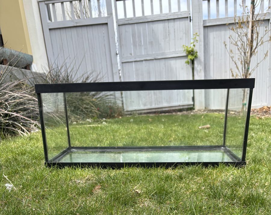 Main image 4