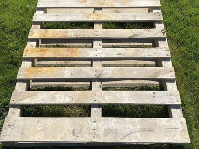 Free standard pallet