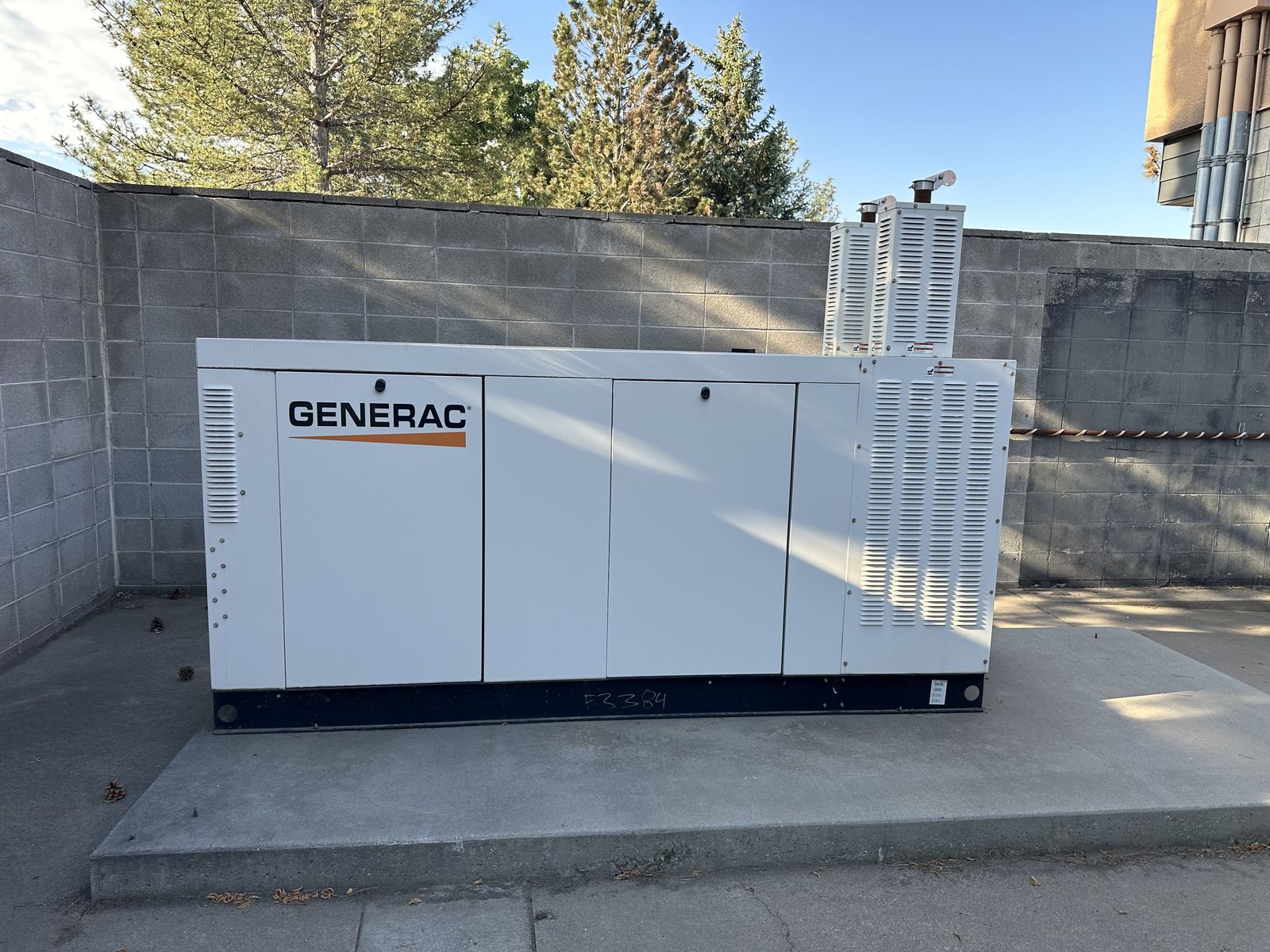 Generac Stationary Emergency Generator