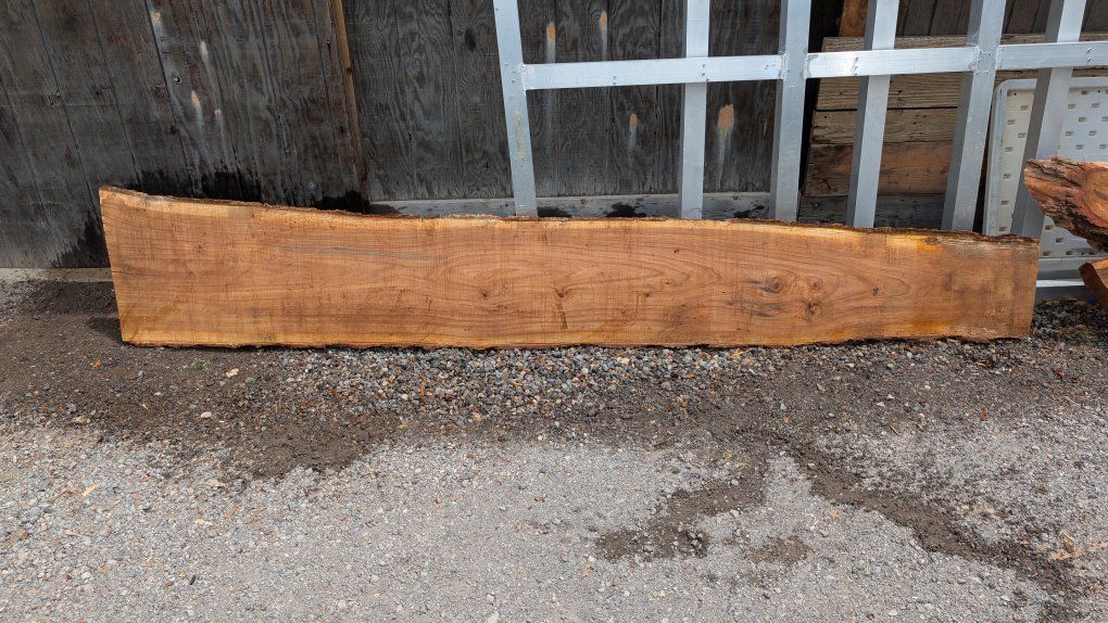 Elm slabs