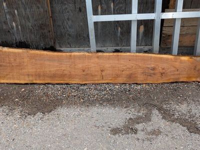 Elm slabs