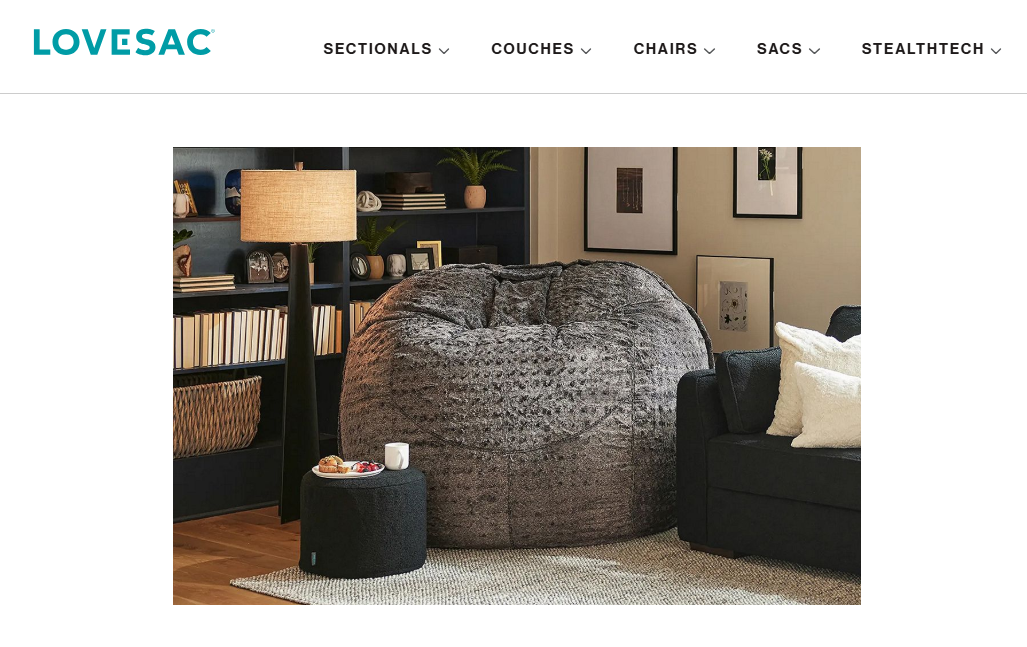 Lovesac The Big One with Midnight Mink Phur Cover