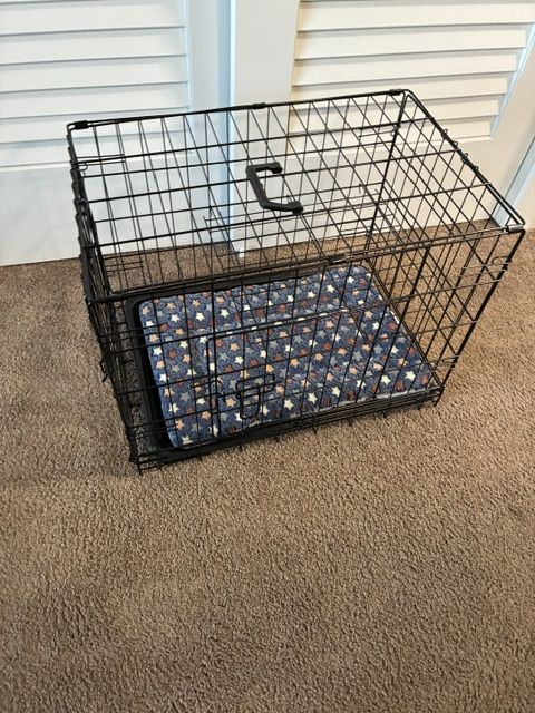 dog crate