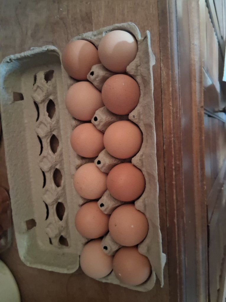 Farm fresh Eggs