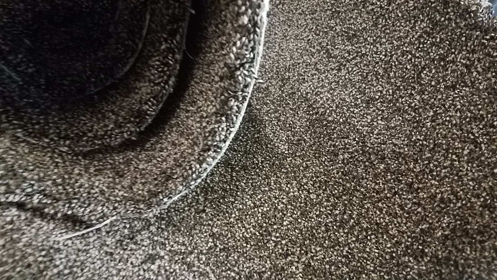 60 sf of New Carpet only $60
