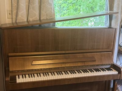 Petrof 49” Piano for Sale