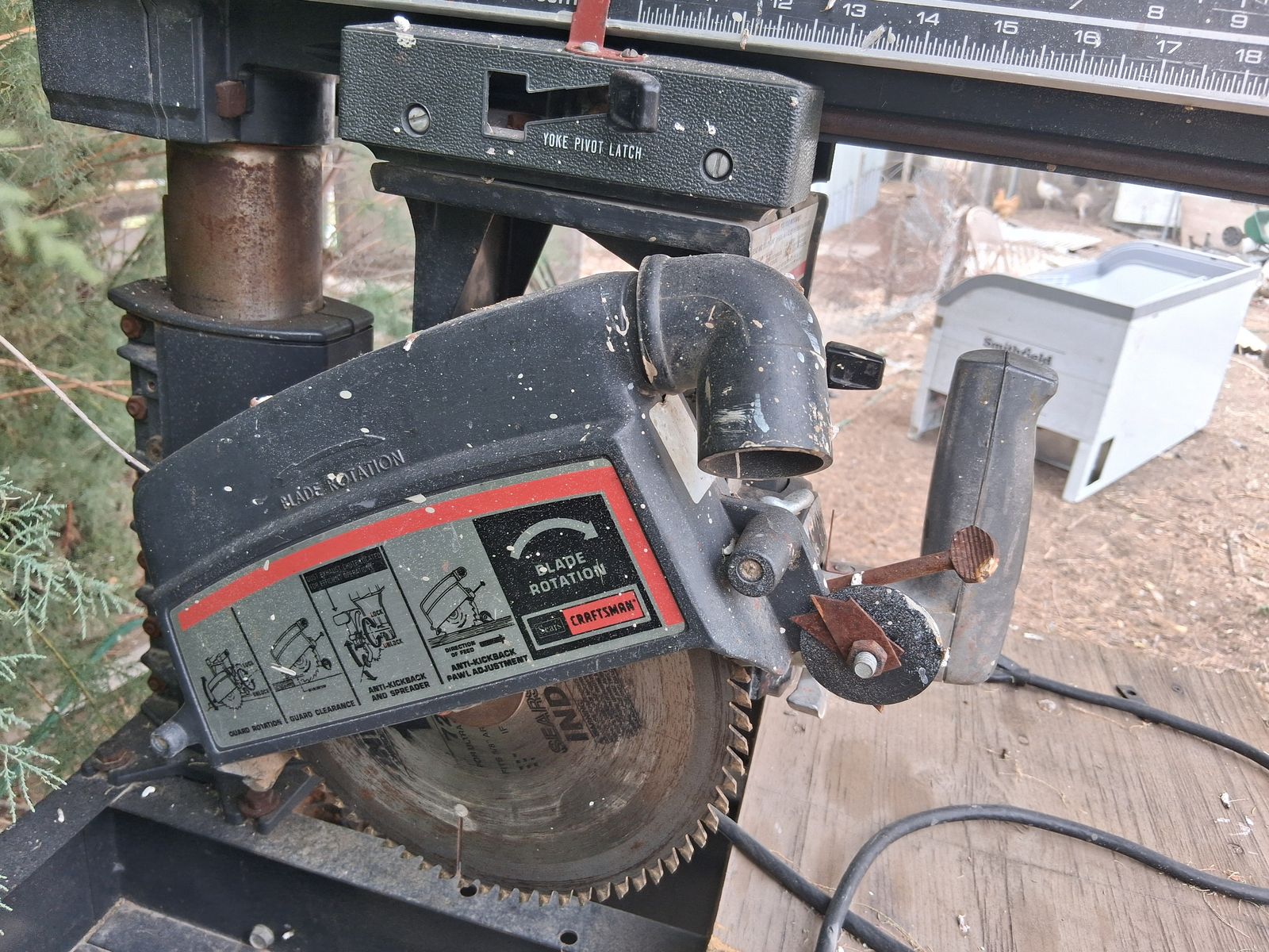 Main image 4