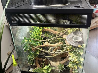 Retptile Terrarium