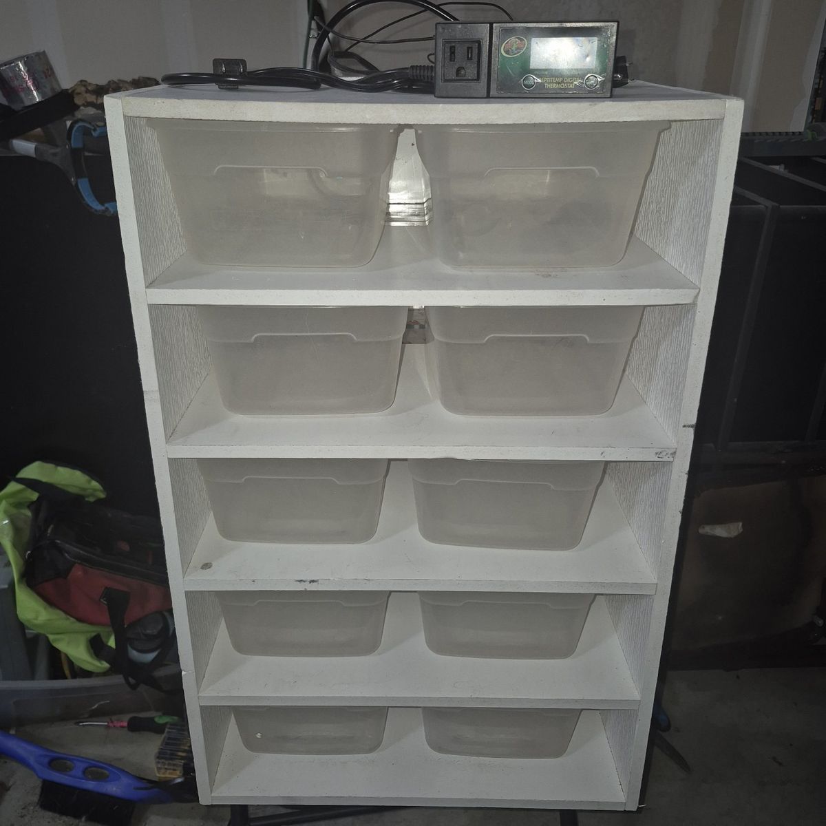 Snake Rack