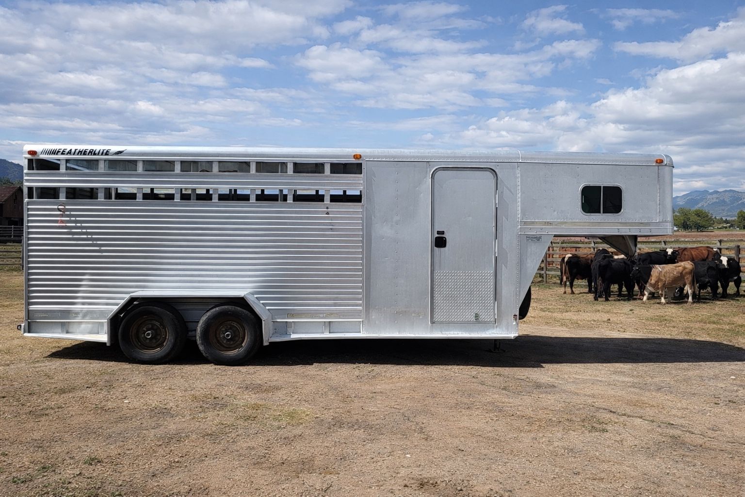 1994 Featherlite 4 Horse Stock Combo