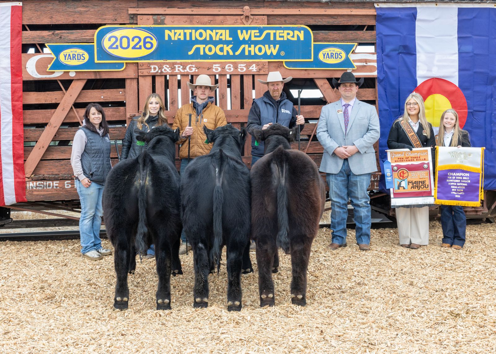 Bulls   -   Outcross Production Sale   -  Angus-Simmental-Maine bulls available