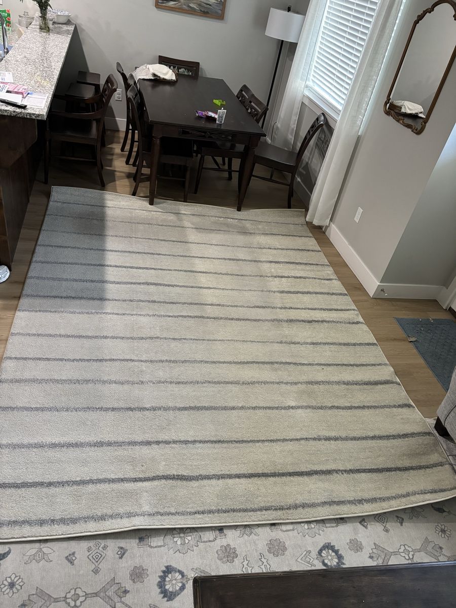 10' x 7'8" Area Rug