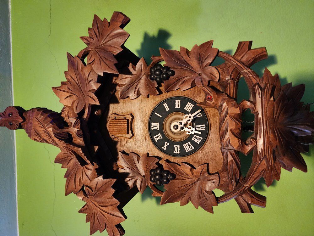 Rare owl German Cuckoo clock ️
