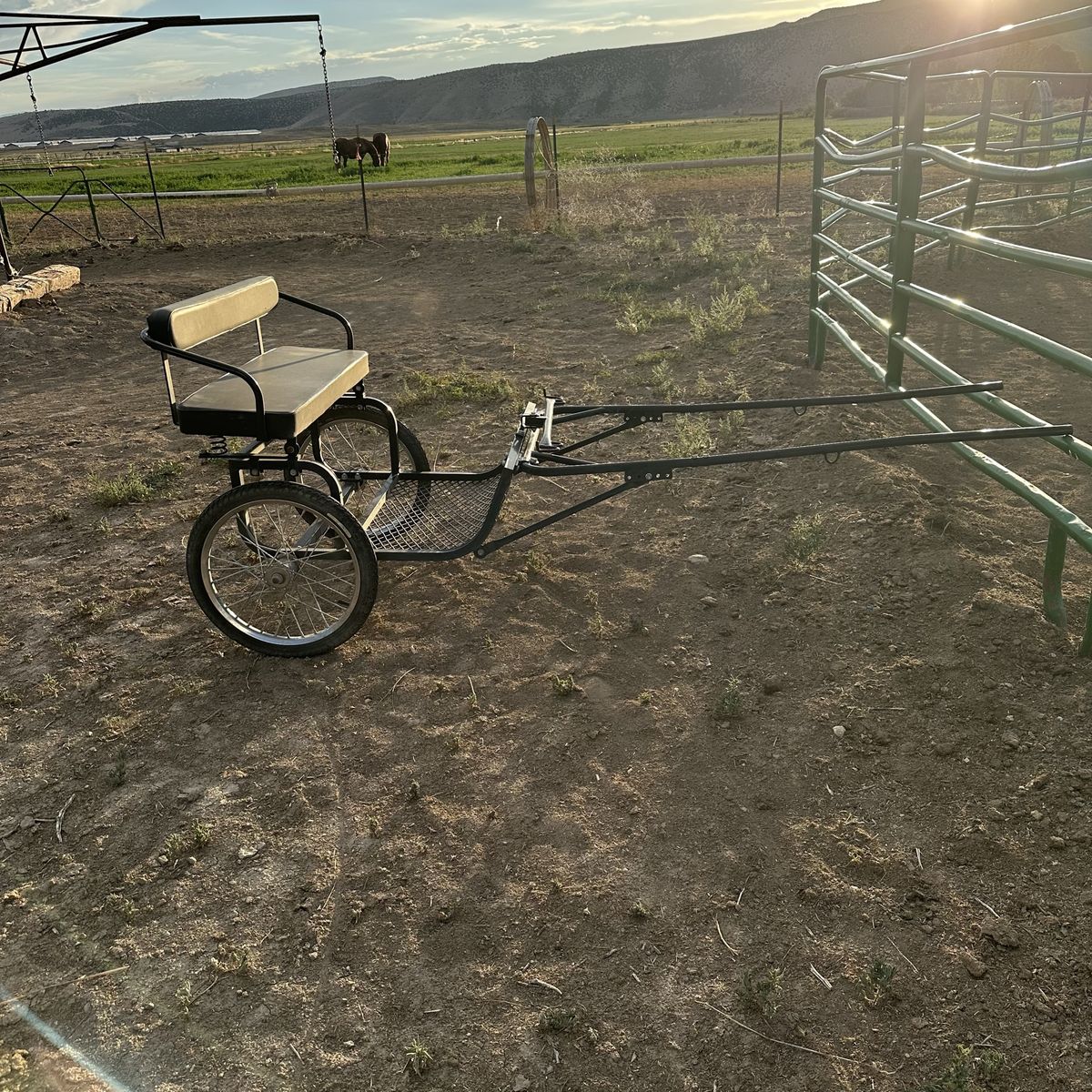 Pony cart