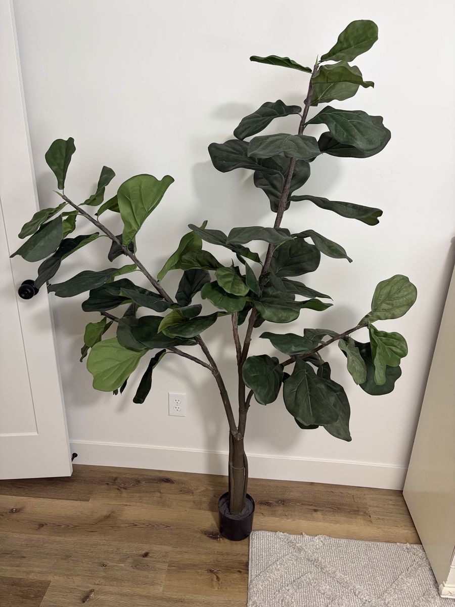 Fiddle Leaf Fig Artificial Tree - Realistic Faux 6 Foot Tree