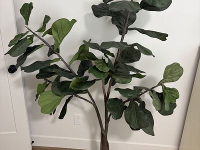 Fiddle Leaf Fig Artificial Tree - Realistic Faux 6 Foot Tree