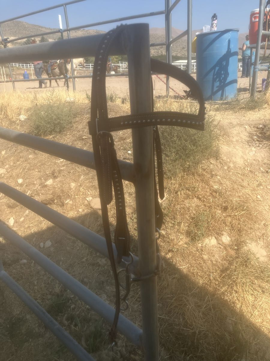 Western Leather Bridle with Studded Browband and Bit