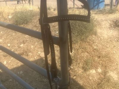 Western Leather Bridle with Studded Browband and Bit