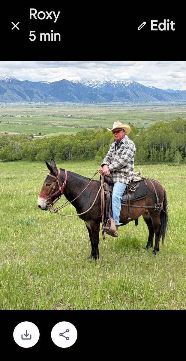 Main image 3